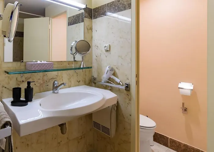 Le Sévigné - Magnifique 3 En Centre * Vichy